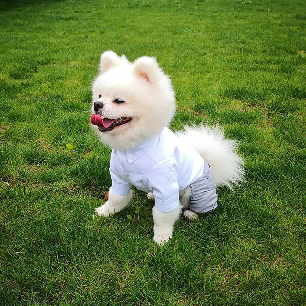 Dog Tuxedo - ProPawPet.com