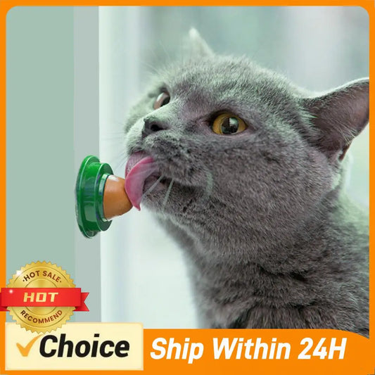 5/10Pcs Catnip Wall Ball Cat Nip Treats - ProPawPet.com