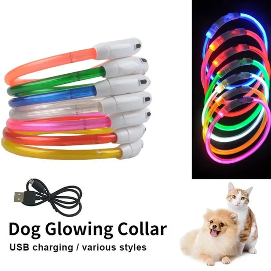 Rechargeable Fiber Optic Dog Collar Luminous - ProPawPet.com