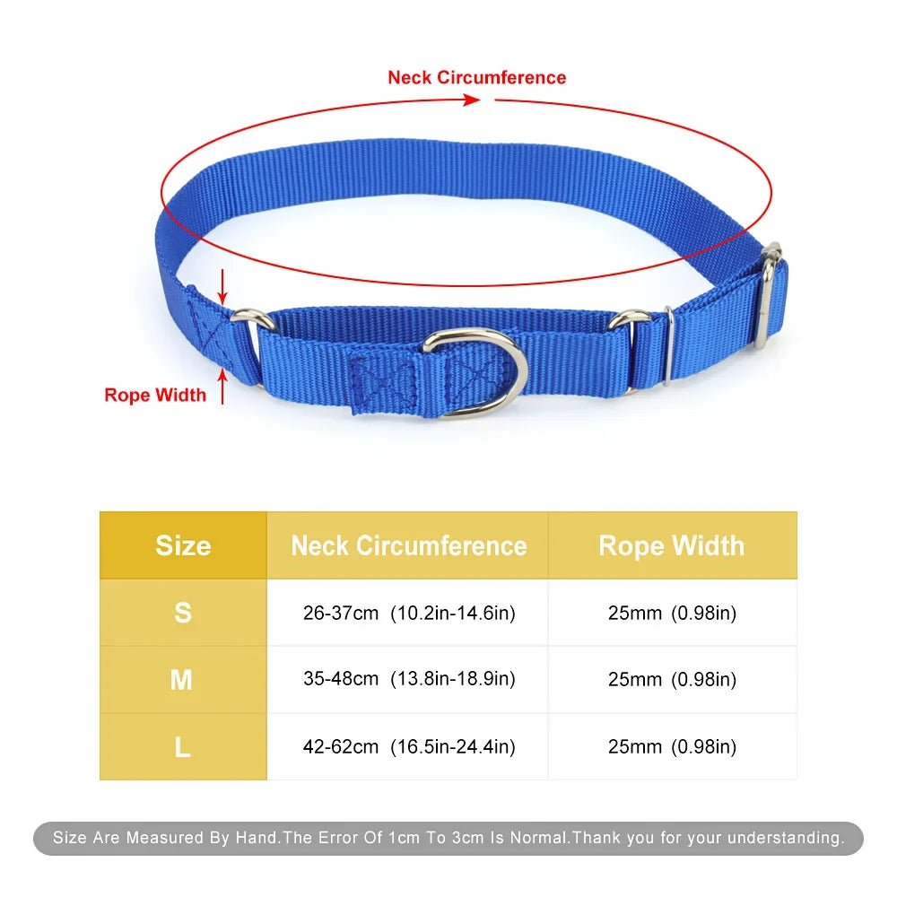 Martingale Collar for Dogs，Dog Collar with - ProPawPet.com