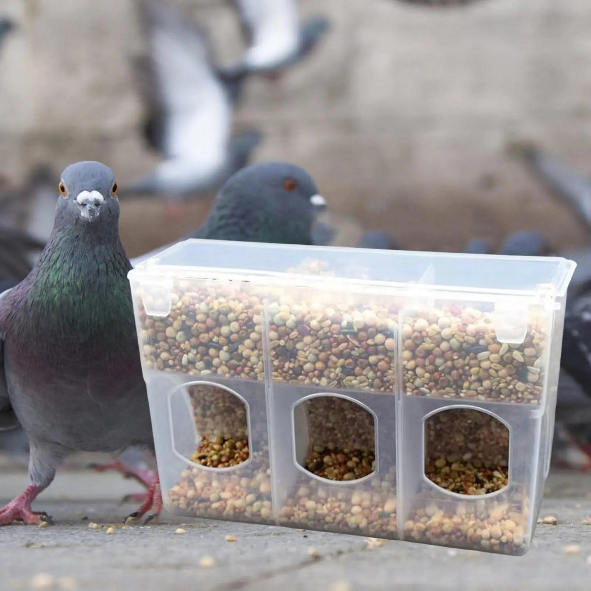 Automatic Bird Feeder Slot Feeder for Cage - ProPawPet.com