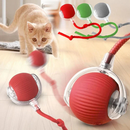Cat Interactive Ball Toy Automatic Rolling - ProPawPet.com