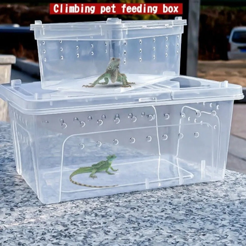 Transparent Reptile Breeding Box Ventilated - ProPawPet.com