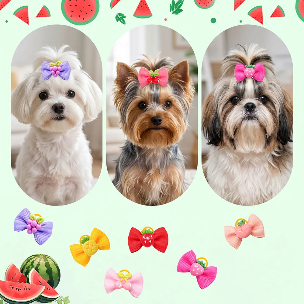10/20/30PCS Fruit Theme Dog Bow Rubber Bands - ProPawPet.com