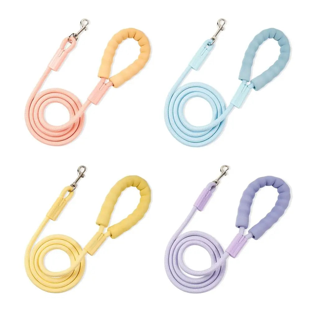 Summer Dopamine Dog Leashes Durable with - ProPawPet.com