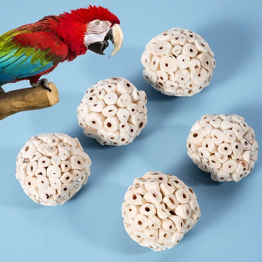 Parrot Chewing Toy Ball Chew Shred Foraging - ProPawPet.com