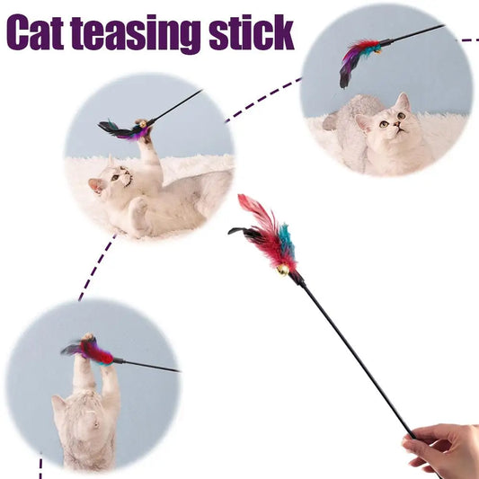 Long Pole Feather Cat Teaser Toy Colorful - ProPawPet.com