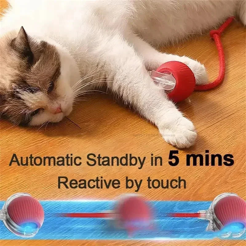 Cat Interactive Ball Toys Automatic Rolling - ProPawPet.com