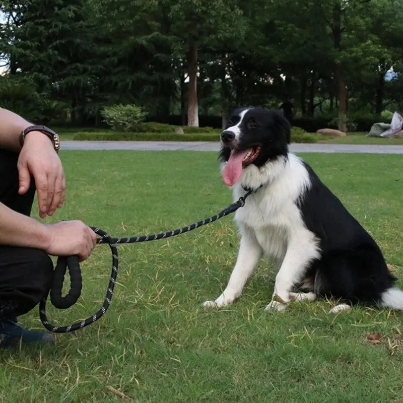 1.2/3M Pet Reflective Leash Nylon Round - ProPawPet.com