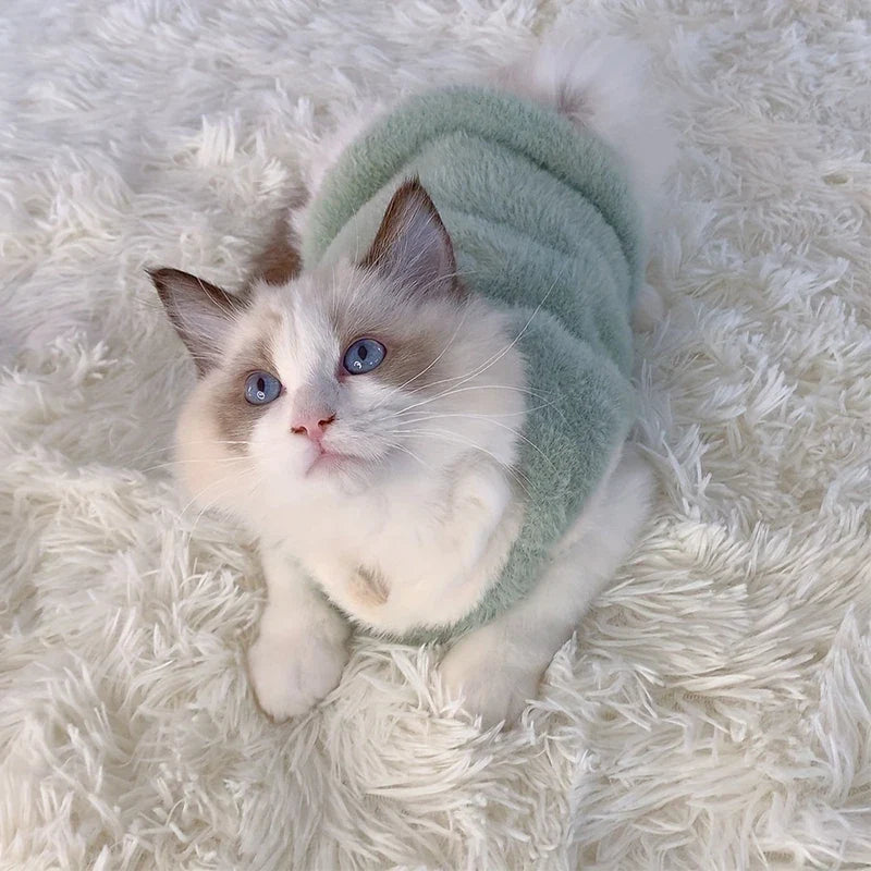 Cats Accessories Pets Warm Kittens Clothes - ProPawPet.com