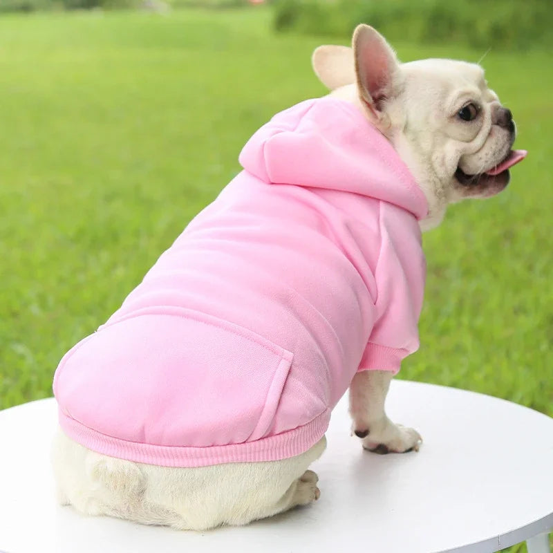 Fashion Dog Clothing Autumn And Winter Small - ProPawPet.com