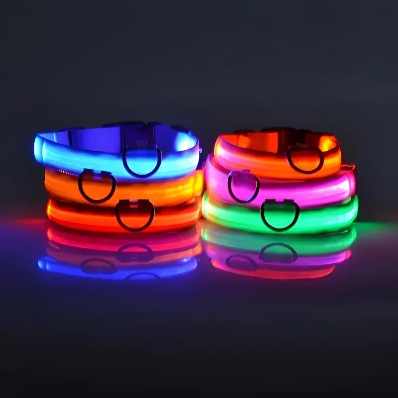 Dog Collar Nylon LED Night Safety Flashing - ProPawPet.com