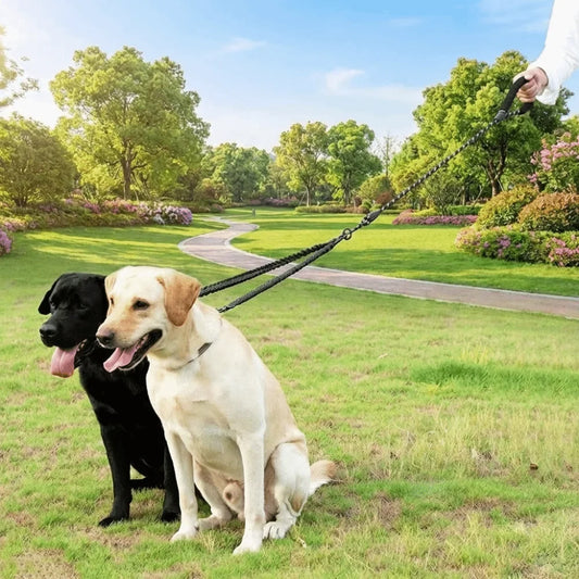 Shock Absorbing Two Dog Lead Rope - ProPawPet.com