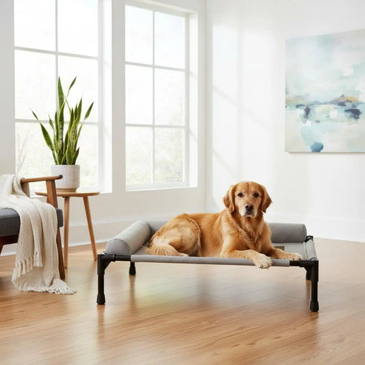 Industrial Cot High Strength Elevated Dog - ProPawPet.com
