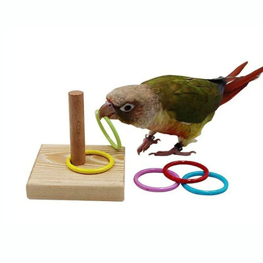 Bird Training Ring Toy Parrot Educational - ProPawPet.com