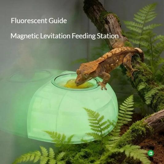 Magnetic Reptile Feeding Bowl with 100PCS - ProPawPet.com