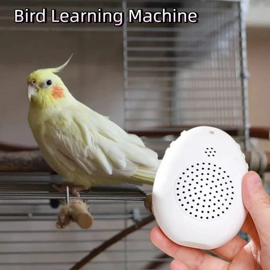 Recording Bird Learning Ma Playback - ProPawPet.com