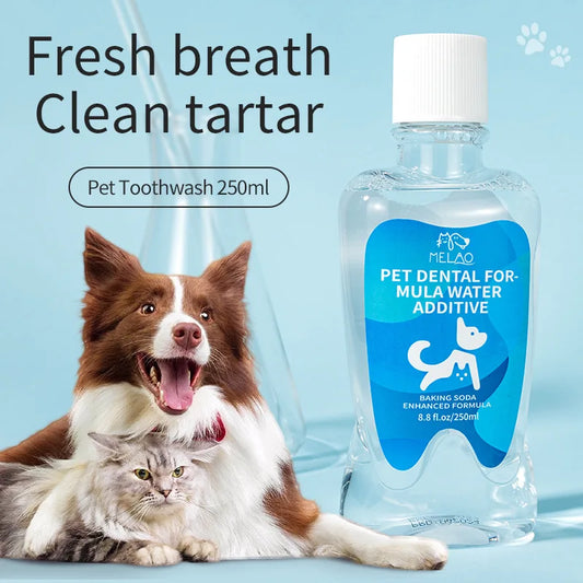 Safe Pet Mouthwash Water 250ml Cat Dog Oral - ProPawPet.com