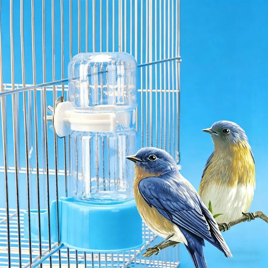 1PC Bird Water Drinker Feeder Container - ProPawPet.com