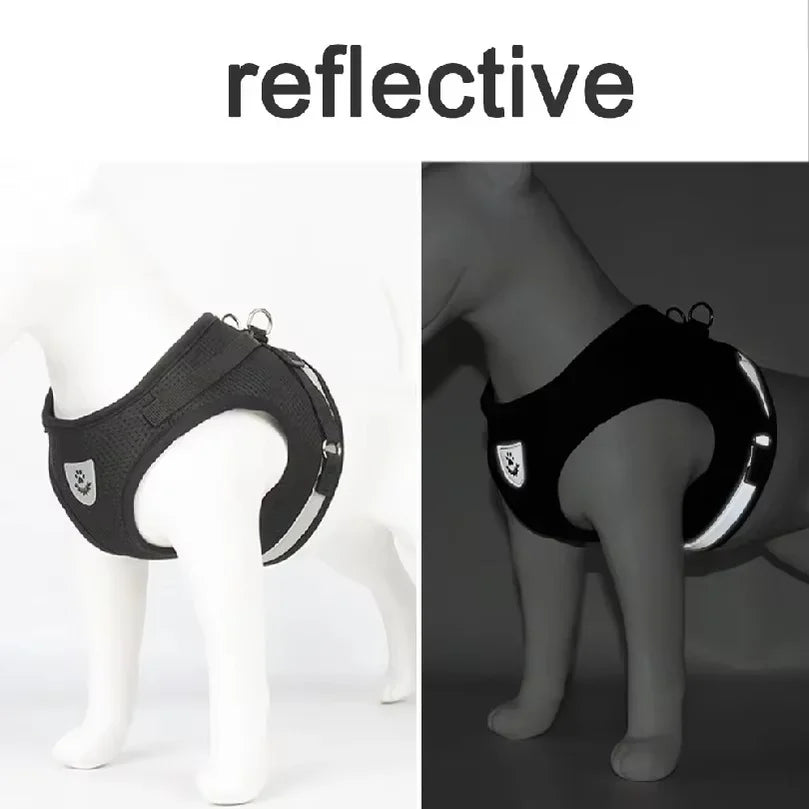 Escape Proof Cat Harness Adjustable - ProPawPet.com