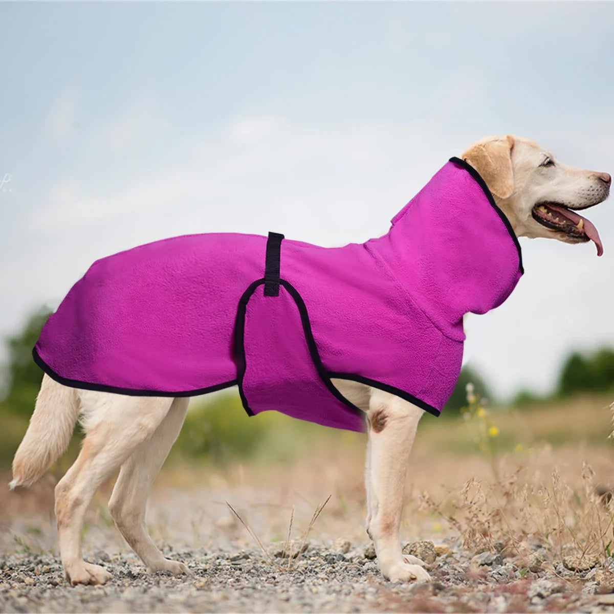 High Collar Warm Dog Coat with Adjustable - ProPawPet.com