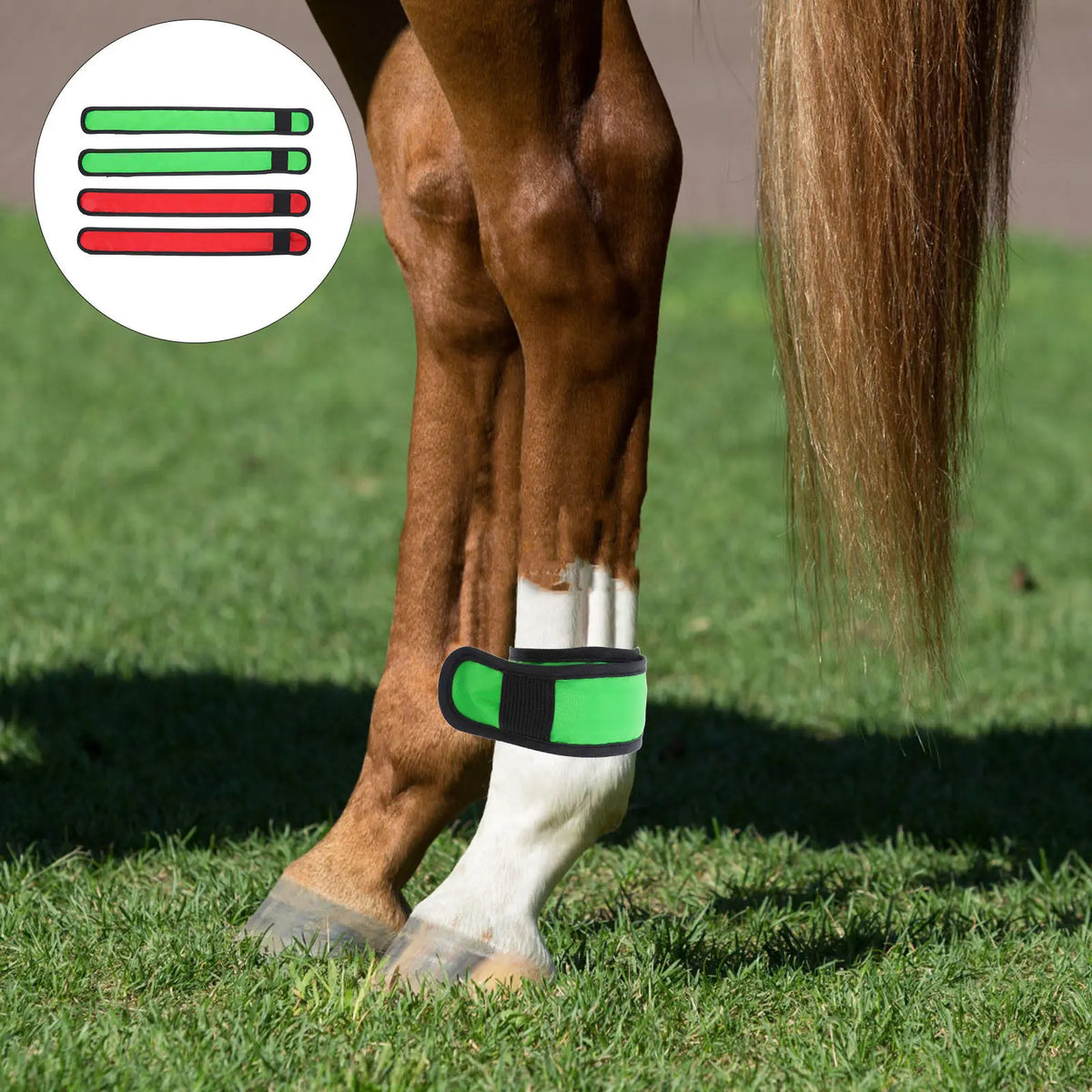 4Pcs LED Horse Leg Bands High Visibility - ProPawPet.com