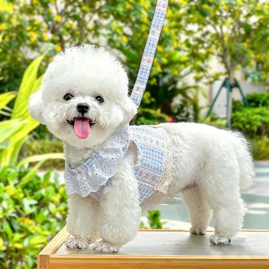 Sweet Lace Dog Harness Rope Set Breathable - ProPawPet.com