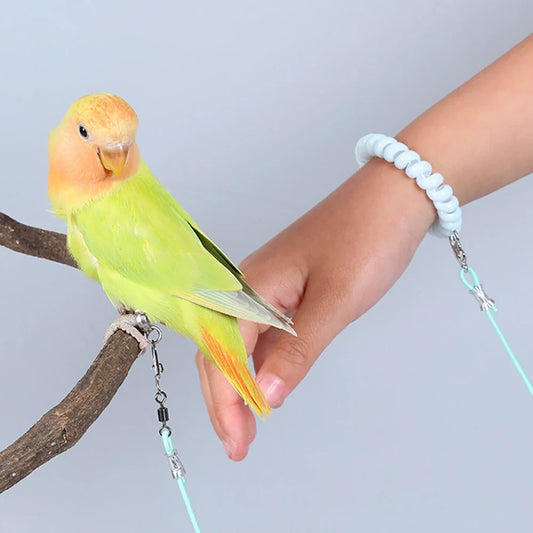 1PC Parrot Release Rope Bird Leash Ultra - ProPawPet.com