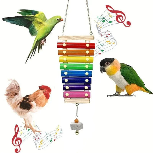 Colorful Bird Xylophone Toy Parrots Chicken - ProPawPet.com