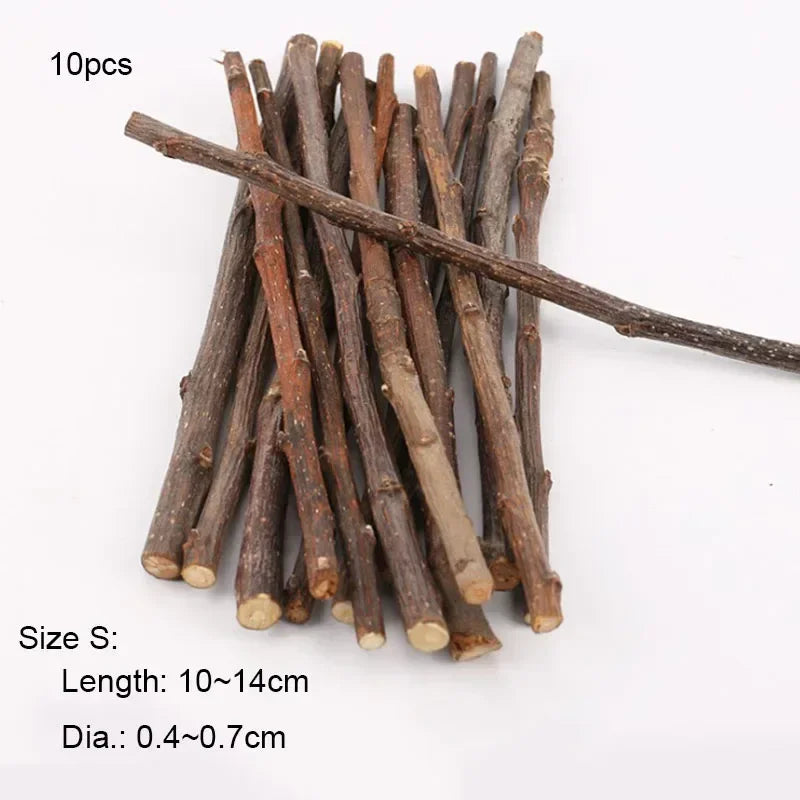 Chew Stick Apple Tree – Bird Supplies