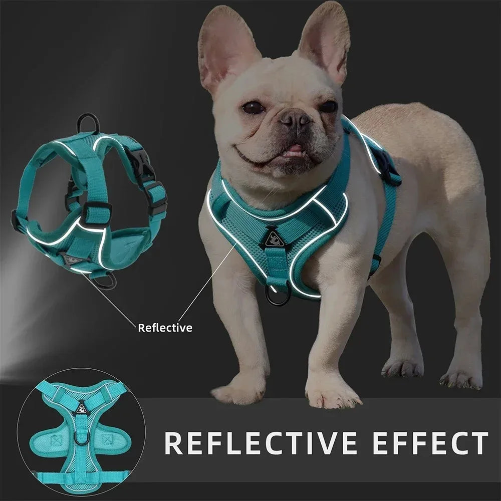 No Pull Dog Harness and Leash Set Adjustable - ProPawPet.com