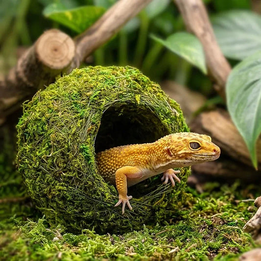 1PCS Reptile Moss Hiding Cave Moisturizing - ProPawPet.com