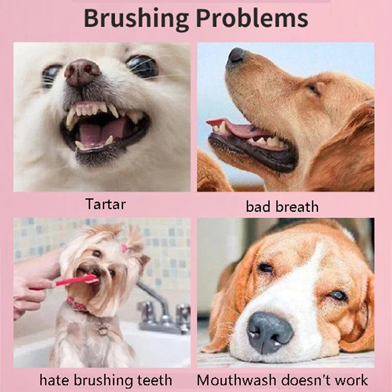 Super Soft Tooth Brush 360 ° Oral Cleaning - ProPawPet.com