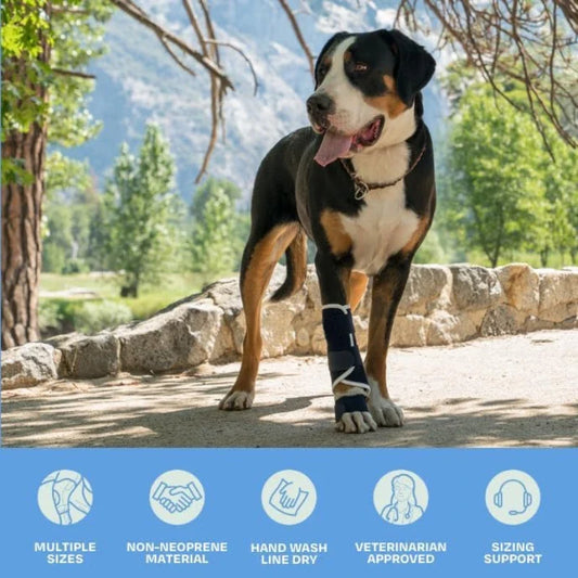 1/2pc Dog Front Leg Splint Carpal - ProPawPet.com