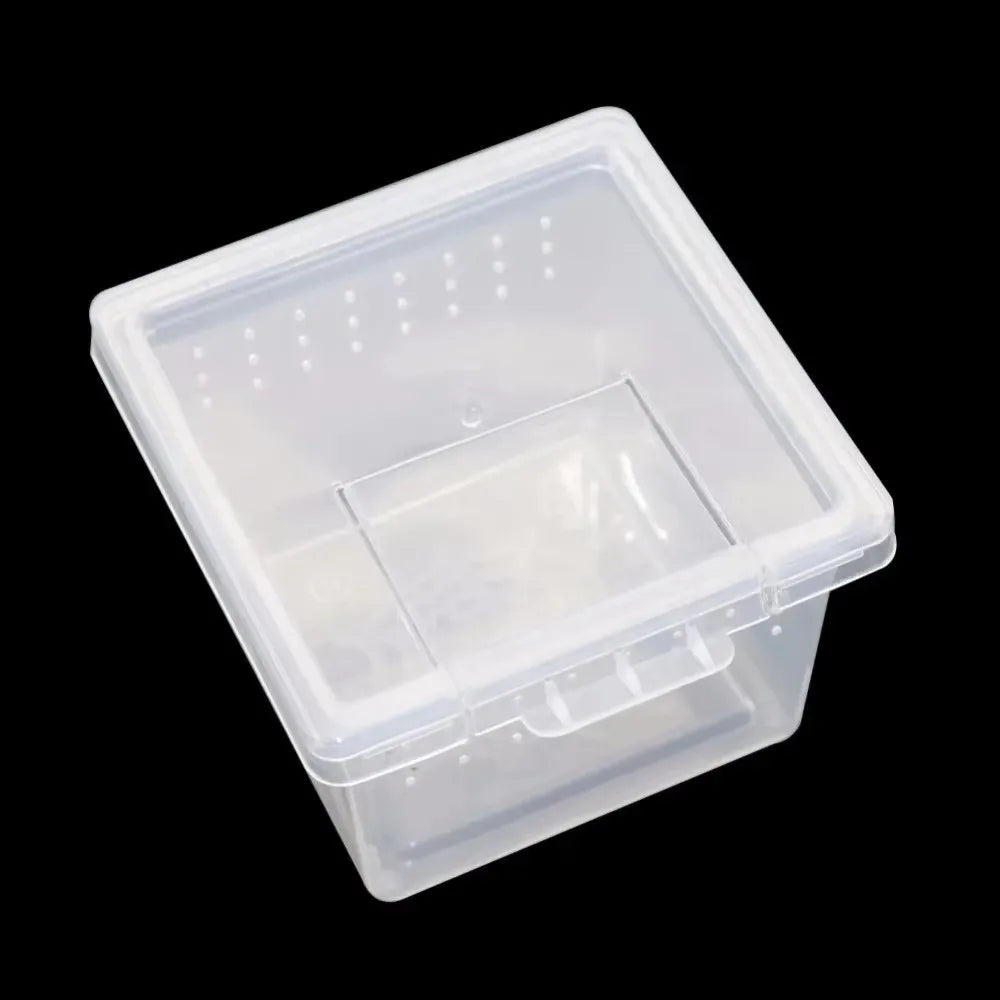 Clear Plastic Reptile Living Box Insect - ProPawPet.com