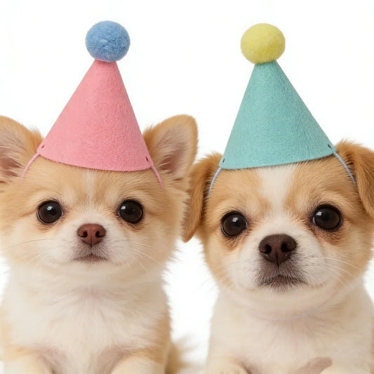 Mini Felt Birthday Party Hat 1/6Pcs, Lovely - ProPawPet.com