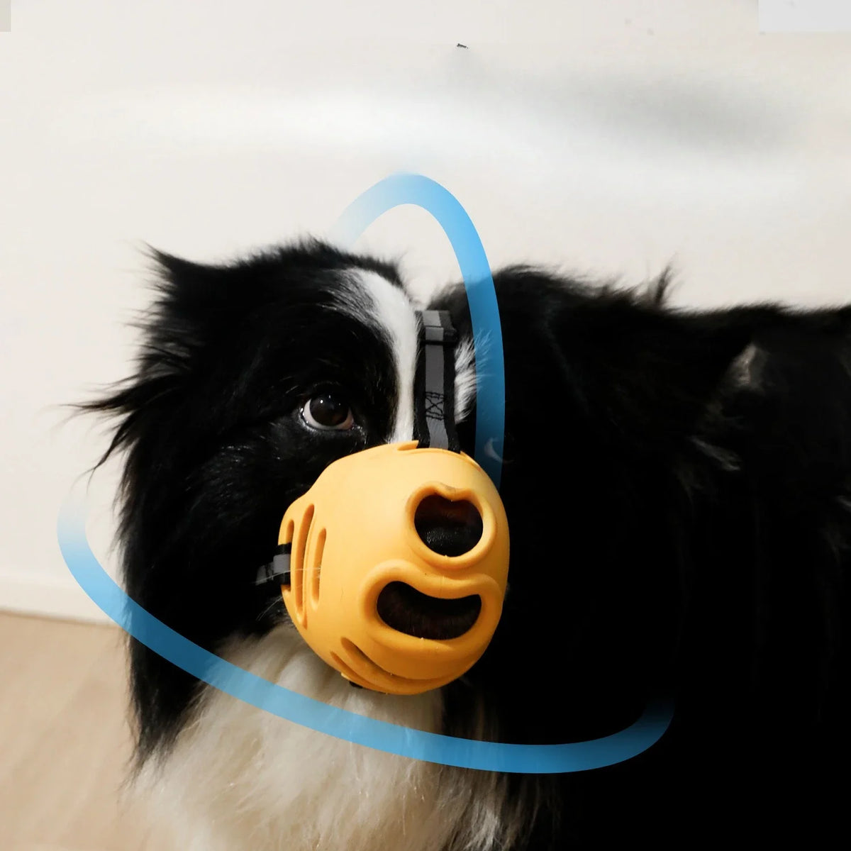 Reflect Light Dog Mouth Guard Cover Comfy - ProPawPet.com