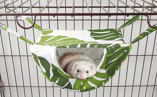 Ferret Hammock Warm Guinea Pig Hammock for - ProPawPet.com