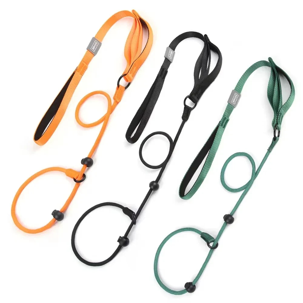 Nylon Slip Lead Dog Slip Leash and Collar - ProPawPet.com