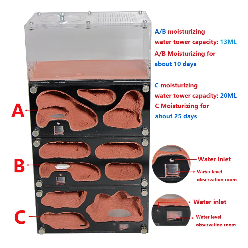 Acrylic Ant Farm Temperature Control - ProPawPet.com