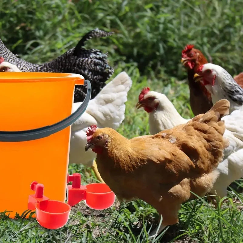 10/20 Pcs Chicken Drinking Bowl Poultry - ProPawPet.com