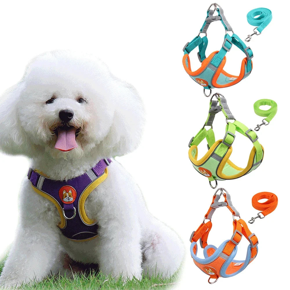 Cat Harness Small Dog Leash Pomeranian Puppy - ProPawPet.com