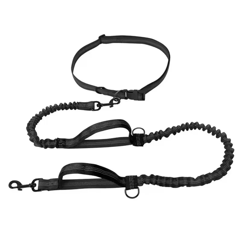 Outdoor Pet Dual Elastic Traction Rope, Reflective