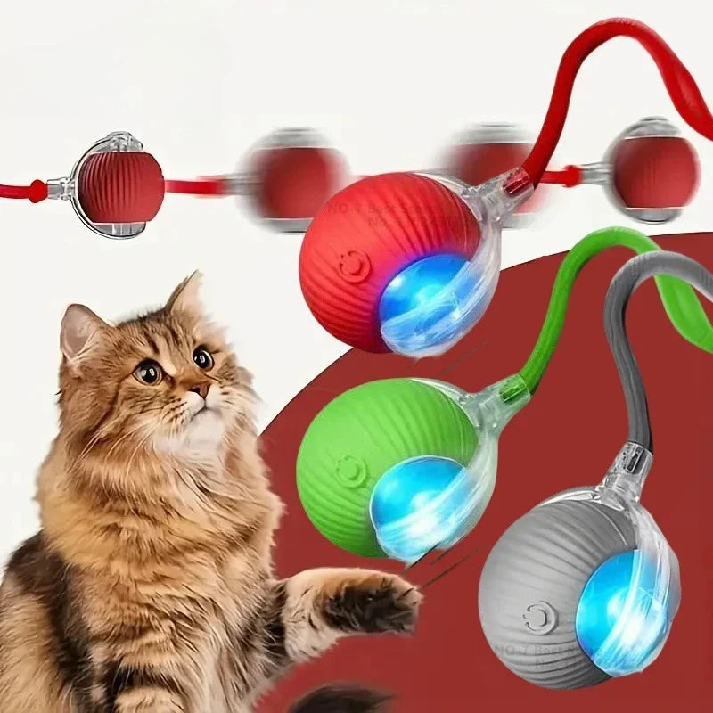 Rechargeable Auto Interactive Cat Ball with - ProPawPet.com