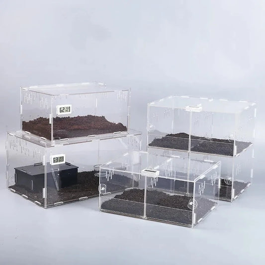 Acrylic Reptile Tank Insect Spiders Tortoise - ProPawPet.com