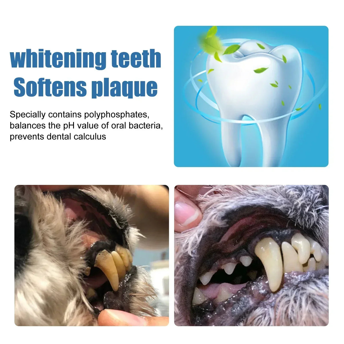 Pet Tartar Remover Natural Plaques Off & - ProPawPet.com