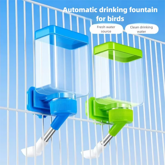Bird Drinking Water Automatic Feeder Parrot - ProPawPet.com