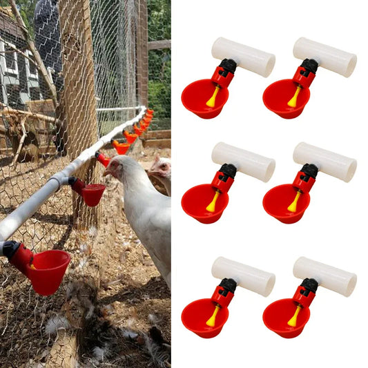 10Pcs Automatic Chicken Quail Drinker Bowl - ProPawPet.com