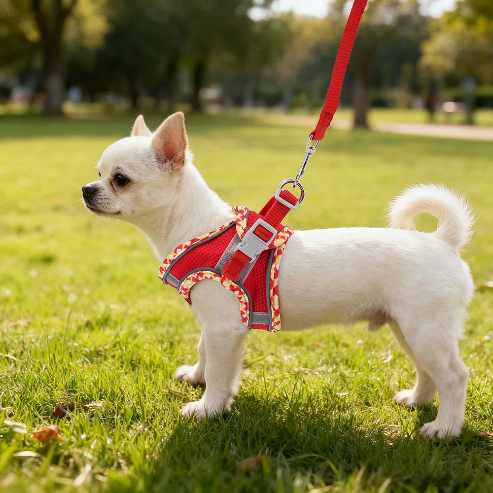New Arrivals Cat Dog Harness and Leash Set - ProPawPet.com