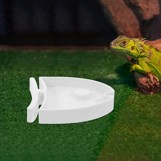 Large Reptile Feeding Dish Multifunctional - ProPawPet.com